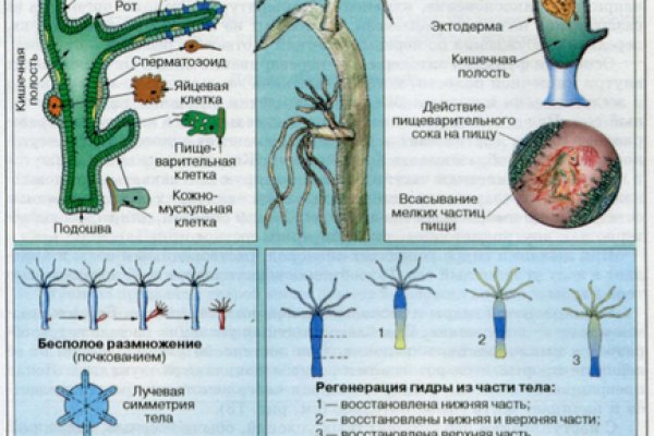 Кракен наркотики россия