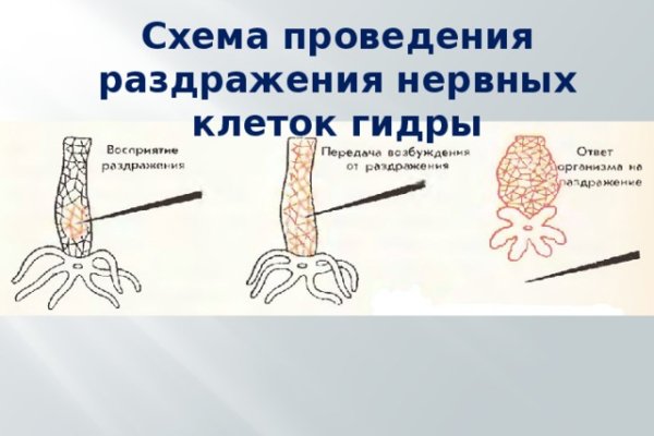 Кракен сайт даркнет