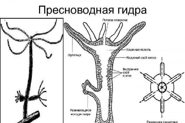 Как пополнить кошелек кракена